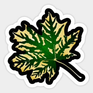 Maple leaf Sticker